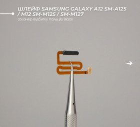 Шлейфи, перехідники Шлейфы, переходники ^/--/^ Шлейф Samsung Galaxy A /--/ 12 SM-A /--/ 125 / M /--/ 12 SM-M /--/ 125 / SM-M /--/ 127  (сканер відбитку пальця) Black ^_^^^ Шлейф Samsung Galaxy A /--/ 12 SM-A /--/ 125 / M /--/ 12 SM-M /--/ 125 / SM-M /--/ 127 (сканер отпечатка пальца) Black - фото фото фото