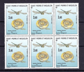 Фауна Фауна ^/--/^ Фауна  Сан Пьер и Микелон / SPM 1992 г  MNH - шестиблок - стрекоза ^_^^^ Фауна Сан П'єр і Мікелон / SPM 1992 р MNH - шестиблок - стрекоза - фото фото фото