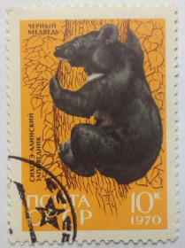 СРСР - СССР - ^/--/^ СССР 1970 Черный медведь, заповедник, фауна, гашеная ^_^^^ СРСР 1970 Чорний ведмідь, заповідник, фауна, гашена - фото фото фото