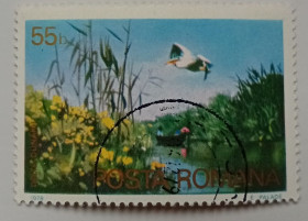 Румунія Румыния ^/--/^ Румыния 1978 Туризм, 55 /--/ В, гашеная ^_^^^ Румунія 1978 Туризм, 55 /--/ В, гашена - фото фото фото