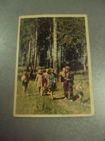 СРСР СССР ^/--/^ открытка бородулина по грибы 1958 №11421 ^_^^^ листівка бородуліна по гриби 1958 No /--/ 11421 - фото фото фото