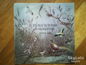 Платівки Пластинки ^/--/^ Голоса птиц в природе-Средняя Азия  (2)-Ex.+-Мелодия ^_^^^ Голоси птахів у природі-Середня Азія (2)-Ex.+-Мелодія - фото фото фото