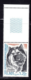 Фауна Фауна ^/--/^ NM Фауна ТААФ / TAAF 2000 г MNH - собака - поле - фото фото фото