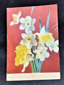СРСР СССР ^/--/^ PK 1969 г. Почтовая карточка СССР Цветы. ^_^^^ PK 1969 Поштова картка СРСР Квіти. - фото фото фото