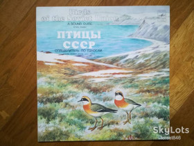 Платівки Пластинки ^/--/^ Птицы СССР-Определитель по голосам  (гагары, кулики)  (2)-Ex.+-Мелодия ^_^^^ Птахи СРСР-Визначник за голосами (гагари, кулики) (2)-Ex.+-Мелодія - фото фото фото