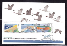 НДР, ФРН ГДР, ФРГ ^/--/^ Германия   1996 г MNH   -  блок - фауна , птицы - ^_^^^ Німеччина 1996 р MNH - блок - фауна, птахи - - фото фото фото