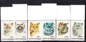 Фауна Фауна ^/--/^ Фауна .  Румыния  1993 г  MNH  - кошки ^_^^^ Румунія 1993 MNH - кішки - фото фото фото