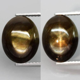Сапфір Сапфир ^/--/^ Звездчатый сапфир черный  6.12 Ct  11.4 х 9 х 5.3 mm ^_^^^ Зірчастий сапфір чорний 6.12 Ct 11.4 х 9 х 5.3 mm - фото фото фото