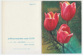 СРСР СССР ^/--/^ Цветы телеграмма 1983 Р /--/ 11 ^_^^^ Квіти телеграма 1983 Р /--/ 11 - фото фото фото