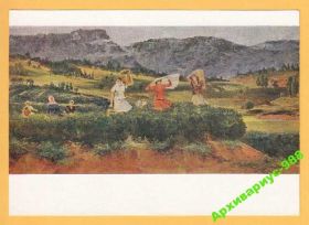 СРСР СССР ^/--/^ 1961 СССР Грузия Чай Искусство Худ. КУТАТЕЛАДЗЕ ^_^^^ 1961 СРСР Грузія Чай Мистецтво Худ. Кутателадзе - фото фото фото