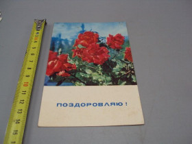 СРСР СССР ^/--/^ Открытка Поздравляю! цветы розы фото И. Кропивницкого 1969 год №17990 ^_^^^ Вітаю! квіти троянди фото І.Кропивницького 1969 р. No /--/ 17990 - фото фото фото