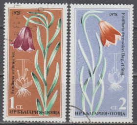 Флора Флора ^/--/^ Болгария Болгарія 1978 флора цветы ^_^^^ Болгария Болгария 1978 флора цветы - фото фото фото
