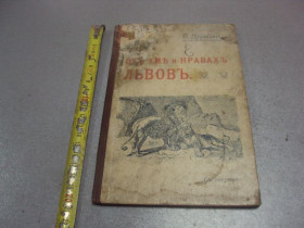 Видання - р. Издания - гг. ^/--/^ книга п.дружбин об уме и нравах львов 1905 издание сытина №175 ^_^^^ Книга п.дружбін про розум і звичаї левів 1905 видання ситина No /--/ 175 - фото фото фото