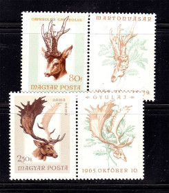 Фауна Фауна ^/--/^ Фауна . Венгрия 1965 г  MNH - ^_^^^ Фауна . Угорщина 1965 р MNH - - фото фото фото
