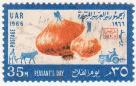 Інші країни Другие страны ^/--/^ Египет ( ОАР ) 1966 г. № 311 гашеная ^_^^^ Єгипет (ОАР) 1966 р. No 311 гашена - фото фото фото