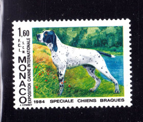 Фауна Фауна ^/--/^ Фауна . Монако 1984 г   MNH  - собаки - выставка -  овернский бракк  ( овернский пойнтер ) ^_^^^ Монако 1984 MNH - собаки - виставка - овернський шлюбк (овернський пойнтер) - фото фото фото