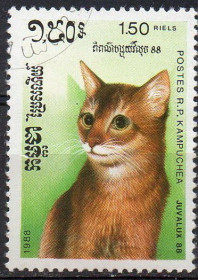 Камбоджа Камбоджа ^/--/^ Кампучія  (Камбоджа) 1988 - Кішки  (Г) ^_^^^ Кампучия (Камбоджа) 1988 - Кошки (Г) - фото фото фото