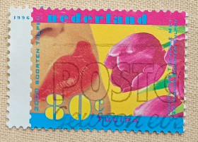 Флора Флора ^/--/^ Нидерланды 1996 г - Природа и окружающая среда. Тюльпан, гаш ^_^^^ Нідерланди 1996 - Природа і навколишнє середовище. Тюльпан, гаш - фото фото фото