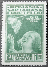 Інше Другое ^/--/^ Румыния Виноград Дети 1934 ^_^^^ Румунія Виноград Діти 1934 - фото фото фото