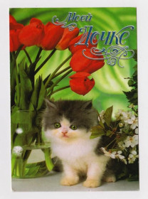 СРСР СССР ^/--/^ МОЕЙ ДОЧКЕ  КОТЕНОК - КОТ  без исходных данных  ^_^^^ МОЄЇ ДОЧЦІ КОТЕНОК - КОТ без вихідних даних - фото фото фото