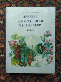 Інше Другое ^/--/^ Т. М. Бродович, М. М. Бродович - Деревья и кустарники запада УССР - Львів: Вища школа, 1979 - S /--/ 1 ^_^^^ Т. М. Бродович, М. М. Бродович - Деревья и кустарники запада УССР - Львов: Высшая школа, 1979 - S /--/ 1 - фото фото фото