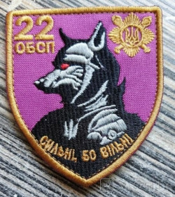 Інше Другое ^/--/^ Шеврон 22 Окремий Батальйон Спеціального Призначення № 633 ^_^^^ Шеврон 22 Отдельный Батальон Специального назначения No 633 - фото фото фото