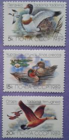 СРСР - СССР - ^/--/^ СССР 1989 фауна птицы утки 1-й выпуск СК 6017-6019 MNH ^_^^^ СРСР 1989 фауна птиці качки 1-й випуск СК 6017-6019 MNH - фото фото фото