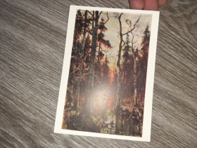 СРСР СССР ^/--/^ Открытка СССР Закат в лесу  1963 /--/ г. ^_^^^ Листівка СРСР Захід у лісі 1963 /--/ р. - фото фото фото