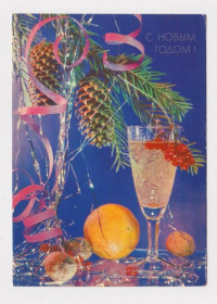 СРСР СССР ^/--/^ С НОВЫМ ГОДОМ  ДМПК 1990 - 1991 г.  КРОПИВНИЦКИЙ  чистая  ^_^^^ З Новим роком ДМПК 1990 - 1991 р. Кропивницький чистий - фото фото фото