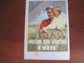 СРСР СССР ^/--/^ Растим для счастья и мира иванов Брискин ИЗОГИЗ  Чистая  Розпродаж колекції ^_^^^ Растим для счастья и мира иванов Брискин ИЗОГИЗ Чистая Распродажа коллекции - фото фото фото
