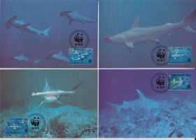 Острівні держави Островные государства ^/--/^ Монтсеррат 1999 WWF АКУЛА ХИЩНИК РЫБА РЫБЫ МОРСКАЯ ФАУНА ПОДВОДНЫЙ МИР Четыре КМ Mi.1109-1112 ^_^^^ Монтсеррат 1999 WWF АКУЛА ХИЩНИК РИБИ МОРСЬКА ФАУНА ПІДВОДНИЙ СВІТ Чотири КМ Mi.1109-1112 - фото фото фото