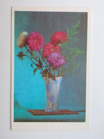 СРСР СССР ^/--/^ Открытка СССР 1969 г. АСТРЫ. &amp;quot;Советский художник&amp;quot;.  Фото ПРОНИНА, чистая ^_^^^ Листівка СРСР 1969 р. АСТРИ. &amp;quot; Радянський художник &amp;quot; Фото ПРОНІНА, чиста - фото фото фото
