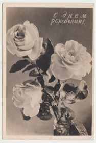 СРСР СССР ^/--/^ С днем рождения 1960  Фотооткрытка Цветы P /--/ 11 /--/ B ^_^^^ З днем народження 1960 Фотовідкритка Квіти P /--/ 11 /--/ B - фото фото фото