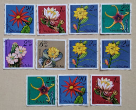 Флора Флора ^/--/^ Польша 1981 г - кактусы,  гаш ^_^^^ Польща 1981 р - кактуси, 9 шт (див.фото) - фото фото фото