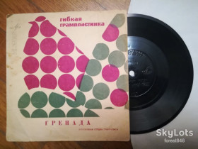 Платівки Пластинки ^/--/^ Гренада-В. Дворянинова, В. Никулин, М. Хатунцева-Ex.+, флексі-Мелодія ^_^^^ Гренада-В. Дворянинова, В. Никулин, М. Хатунцева-Ex.+, флекси-Мелодия - фото фото фото