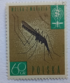 Польща Польша ^/--/^ Польша 1962 Малярия, 60 /--/ Gr, гашеная ^_^^^ Польща 1962 Малярія, 60 /--/ Gr, гашена - фото фото фото
