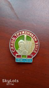 Пам'ятні і ювілейні Памятные и юбилейные ^/--/^ Значек Слава труженикам тыла ^_^^^ Значок Слава трудівникам тилу - фото фото фото