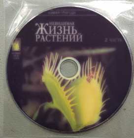 Наукове / Документальне кіно Научное / Документальное кино ^/--/^ Невидимая жизнь растений ^_^^^ Невидиме життя рослин - фото фото фото