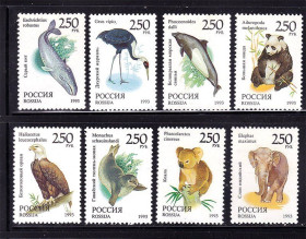 Фауна Фауна ^/--/^ Фауна Россия  1993 г  MNH ^_^^^ NM Фауна Росія 1993 MNH - фото фото фото
