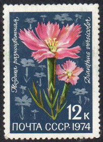 СРСР - СССР - ^/--/^ СРСР 1974 - Квіти альпійських лугів Середньої Азії ** ^_^^^ СССР 1974 - Цветы альпийских лугов Средней Азии ** - фото фото фото