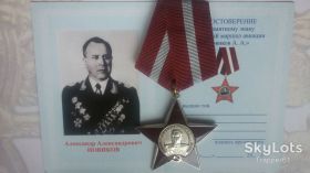 СНД СНГ ^/--/^ знак &amp;quot;Главный маршал авиации Новиков А.А. ^_^^^ &amp;quot; Головний маршал авіації Новіков А.А. - фото фото фото