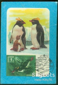 Календарі Календари ^/--/^ СССР 1986 фауна птицы Антарктида картмаксимум на календарике 1978 СК 3836 см. описание ^_^^^ СРСР 1986 фауна птиці Антарктида картмаксимум на календарику 1978 СК 3836 см. опис - фото фото фото