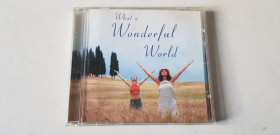Музичні диски Музыкальные диски ^/--/^ Peggy Lee/Gene Kelly/Doris Day... CD фірмовий ^_^^^ Peggy Lee/Gene Kelly/Doris Day CD фирменный - фото фото фото