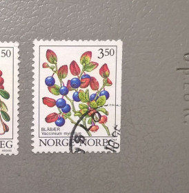 Флора Флора ^/--/^ Норвегия Флора 1995 ^_^^^ Норвегія Флора 1995 - фото фото фото