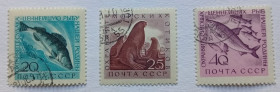 СРСР - СССР - ^/--/^ СССР 1960 Морская фауна, гашеные ^_^^^ СРСР 1960 Морська фауна, гашені - фото фото фото