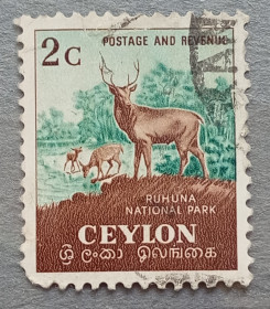 Фауна Фауна ^/--/^ Цейлон 1958 г -  Национальный парк Рухуна, животный мир  (олени-самбары), гаш ^_^^^ Цейлон 1958 р. - Національний парк Рухуна, тваринний світ (олені-самбари), гаш - фото фото фото