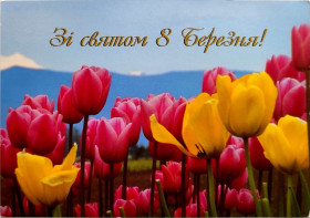 СРСР СССР ^/--/^ Листівка Зі святом 8 Березня! 8 Марта Соціал-демократична партія України Квіти Тюльпан б/в ^_^^^ С праздником 8 Марта! Социал-демократическая партия Украины Цветы Тюльпан б/в - фото фото фото