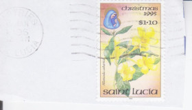Острівні держави Островные государства ^/--/^ Сент-Люсия 1996 ЦВЕТЫ Allamanda cathartica ЭНДЕМИКИ ПРИРОДА ДЕРЕВЬЯ РАСТЕНИЯ ФЛОРА РОЖДЕСТВО Mi.1039 гашёная ^_^^^ Сент-Люсія 1996 Квіти Allamanda cathartica ЕНДЕМІКИ ПРИРОДУ ДЕРЕВ'Я РАСТІННЯ ФЛОРА Різдво Mi.1039 гашена - фото фото фото