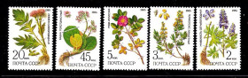СРСР - СССР - ^/--/^ СССР  1985 г   MNH - флора ^_^^^ СРСР 1985 MNH - флора - фото фото фото