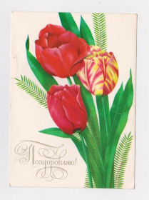 СРСР СССР ^/--/^ ПОЗДОРОВЛЯЮ - ПОЗДРАВЛЯЮ  1980 - 1981 г.  ЛИСЕЦКИЙ  чистая  тираж 425 тыс.  ^_^^^ Вітаю 1980 - 1981 р. Лисицький чистий тираж 425 тис. - фото фото фото